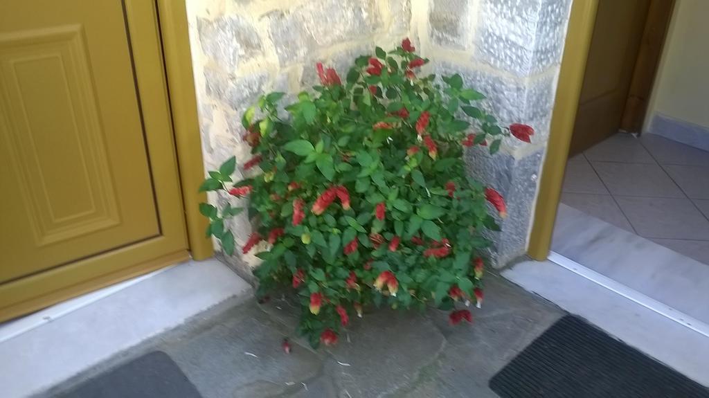 Apartmán Lamprou Kosmás Pokoj fotografie